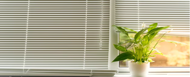 WINDOW-BLINDS-HORIZONTA-IMAGE