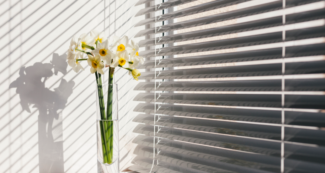 WINDOW-BLINDS-INSPIRATION-IMAGE-2